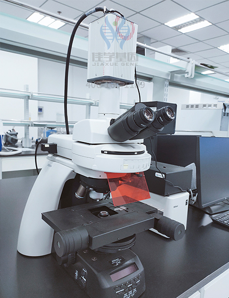 【佳学基因案例】杜氏肌营养不良基因检测、基因解码